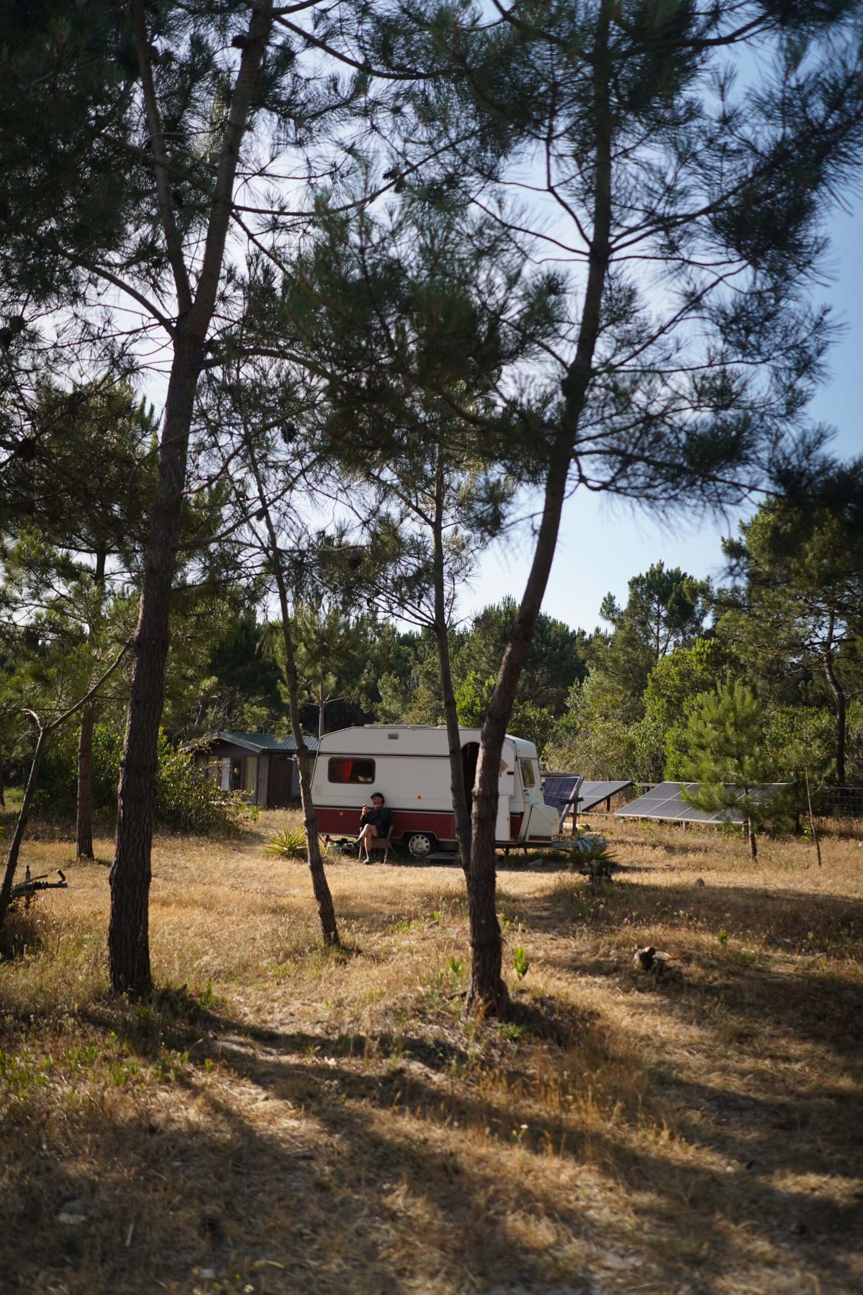 surf camp portugal